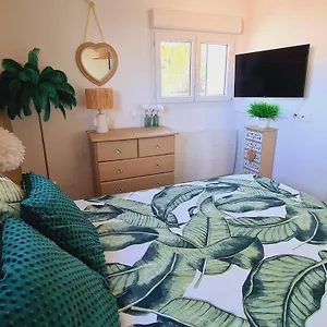 Petit Coin De Paradis Les Pieds Dans L’eau Appartement